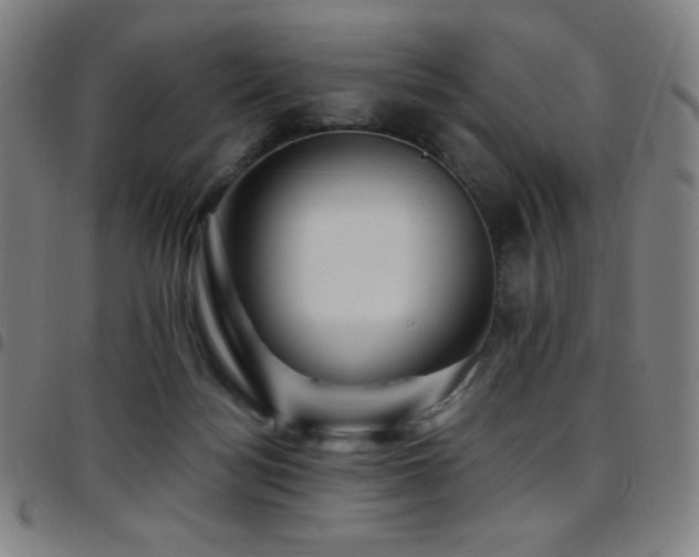 X0000097790172200803071420