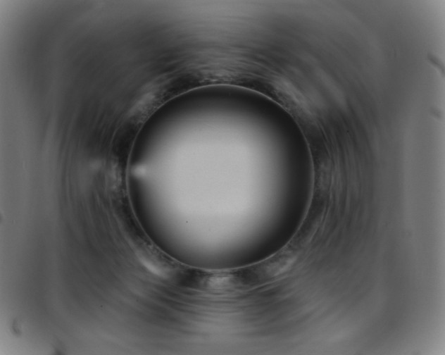X0000097790173200803071420