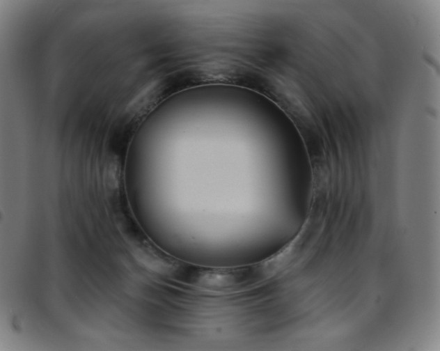 X0000097790174200803071420