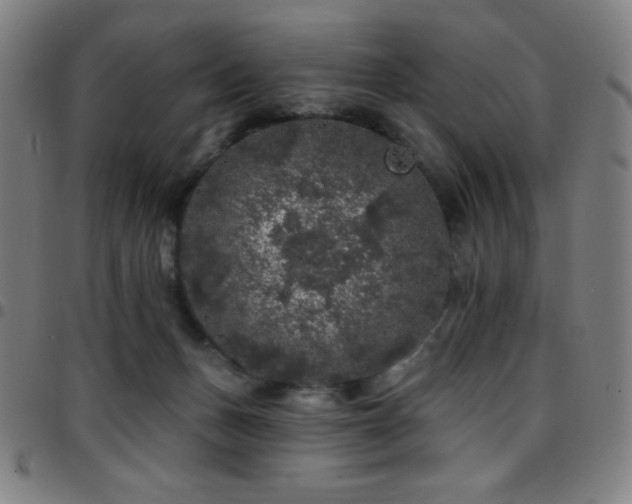 X0000097790175200803071420
