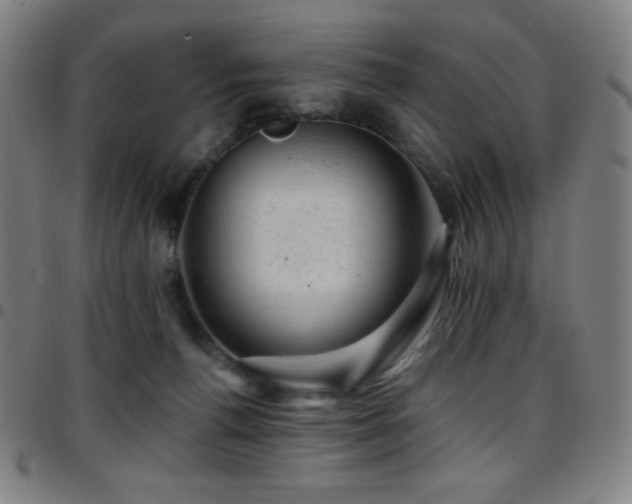 X0000097790176200803071420
