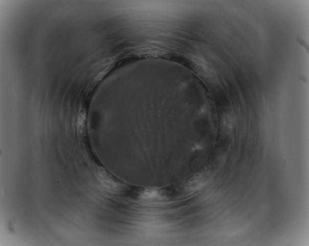 X0000097790177200803071420