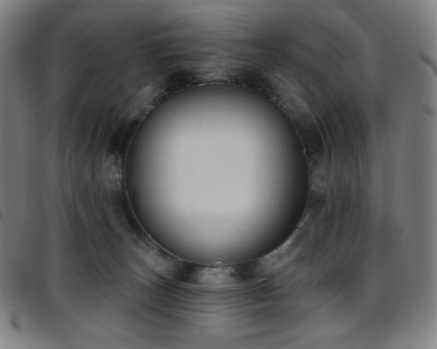 X0000097790179200803071420