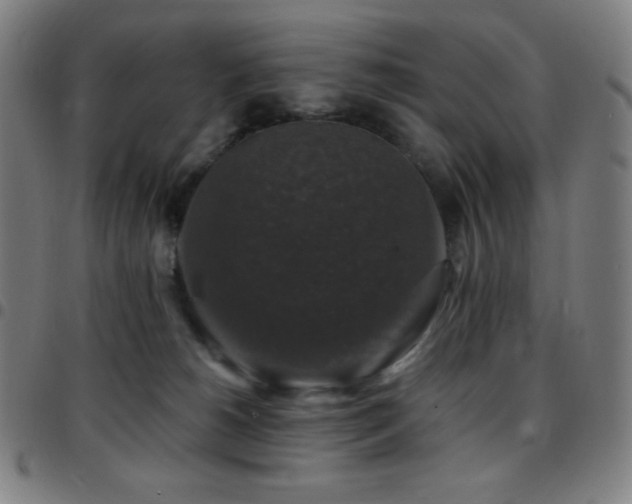 X0000097790180200803071420