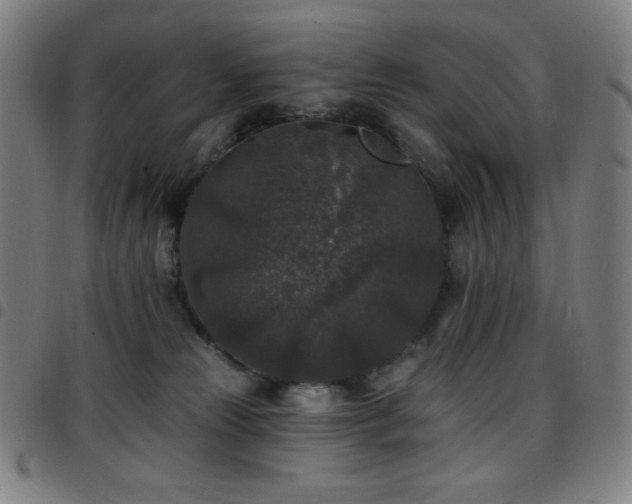 X0000097790181200803071420