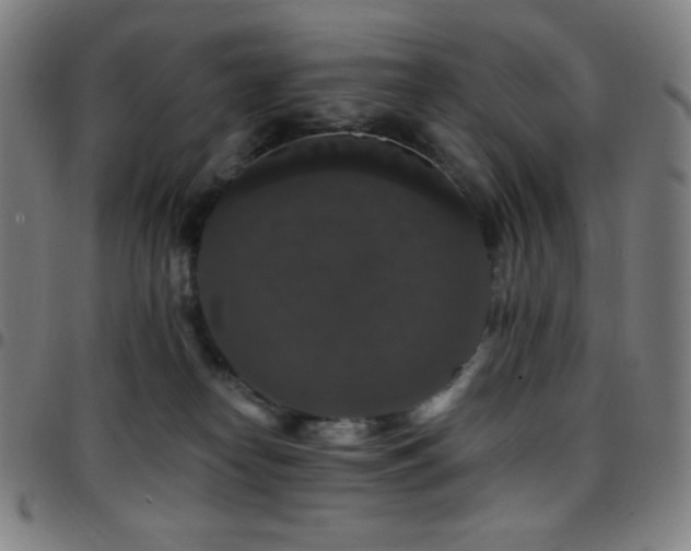 X0000097790182200803071420