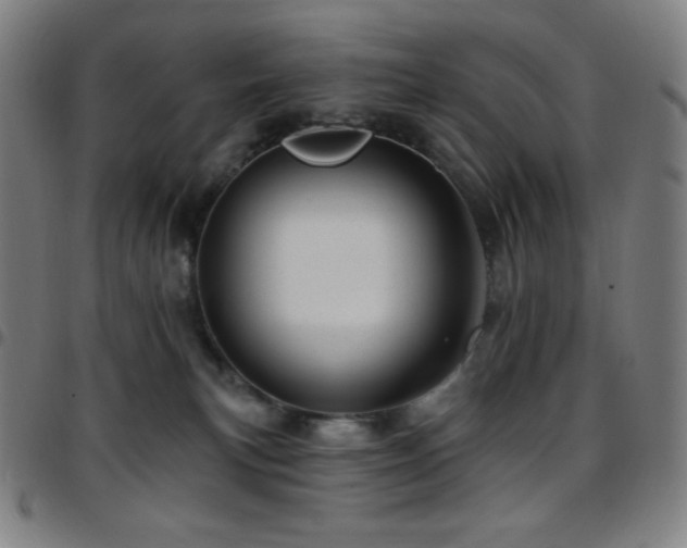 X0000097790183200803071420