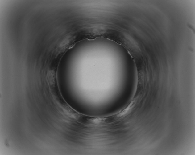 X0000097790184200803071420