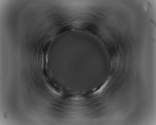 X0000097790186200803071420