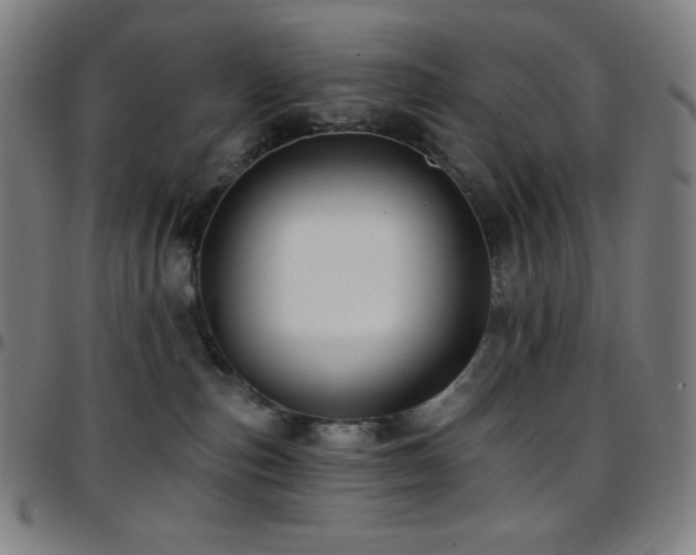 X0000097790187200803071420