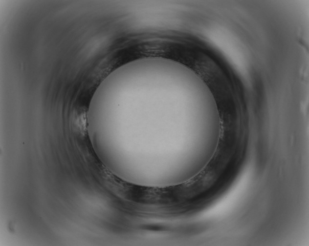 X0000097790190200803071420