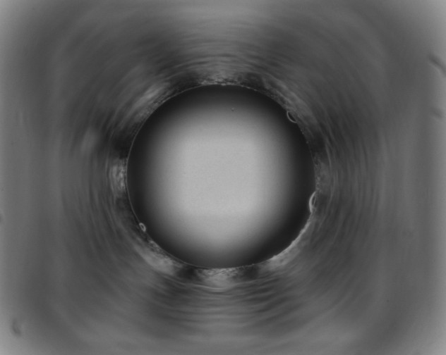 X0000097790191200803071420