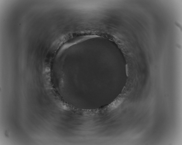 X0000097790192200803071420