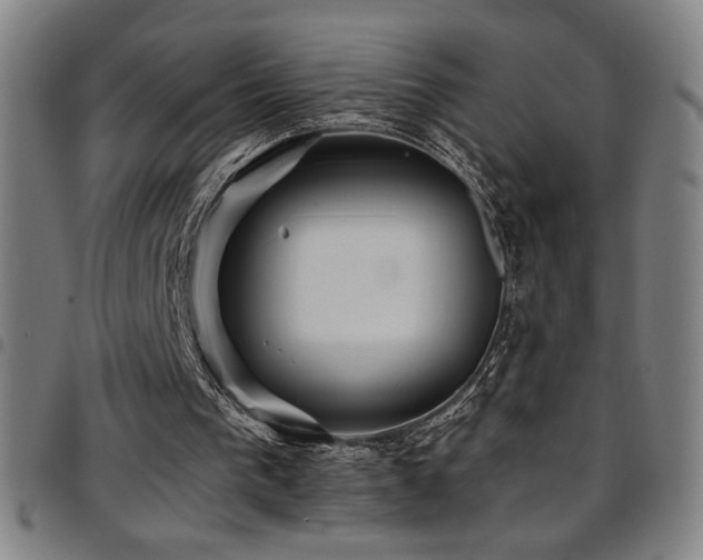 X0000097790193200803071420