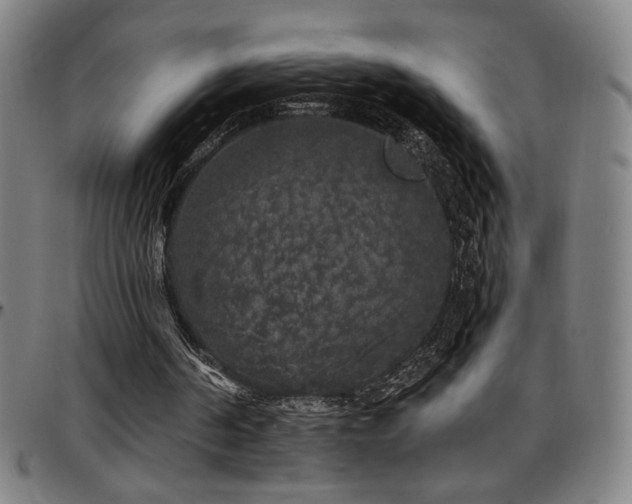 X0000097790194200803071420