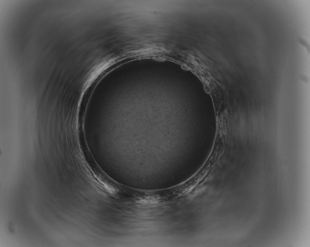 X0000097790196200803071419