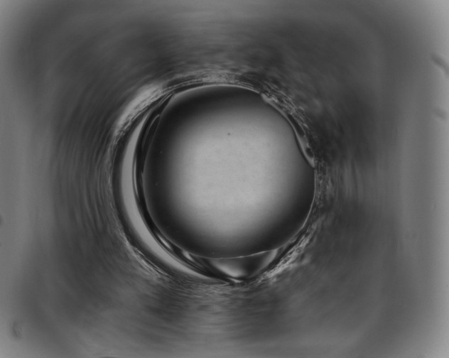 X0000097790197200803071419