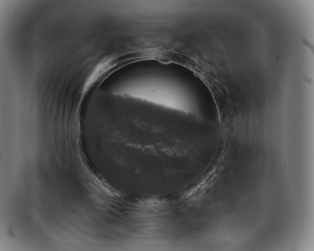 X0000097790198200803071419