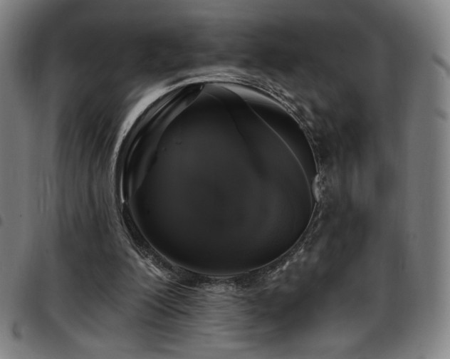 X0000097790200200803071419