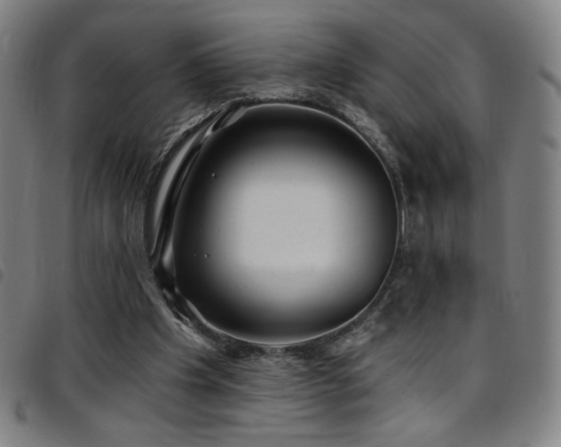 X0000097790201200803071419