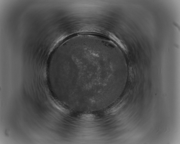 X0000097790203200803071419