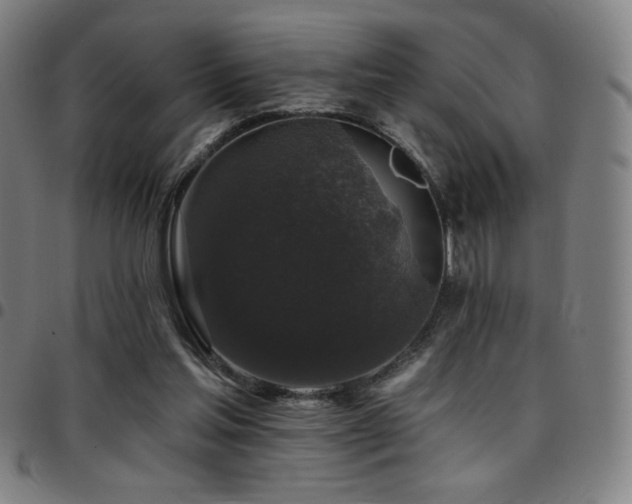 X0000097790205200803071419