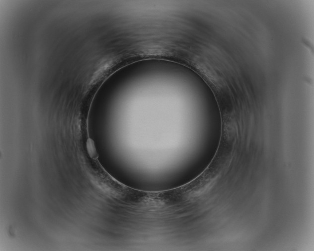 X0000097790207200803071419