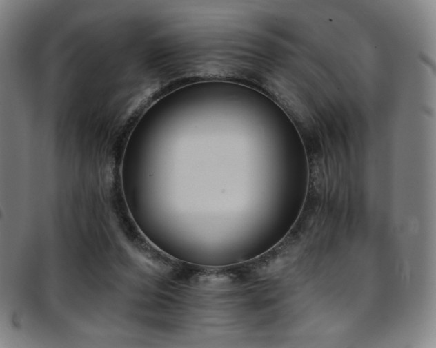 X0000097790208200803071419