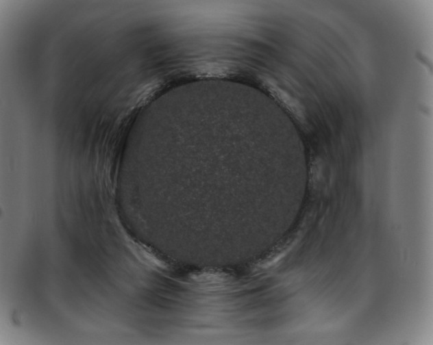 X0000097790209200803071419