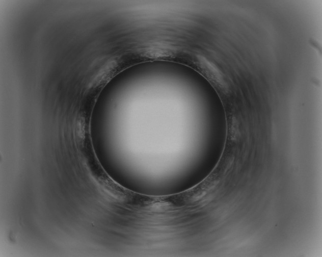 X0000097790210200803071419