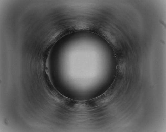 X0000097790211200803071419