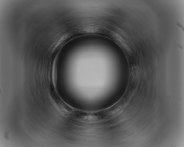 X0000097790212200803071419