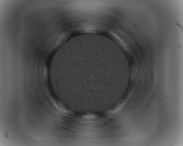 X0000097790213200803071419
