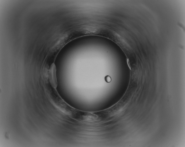 X0000097790215200803071419