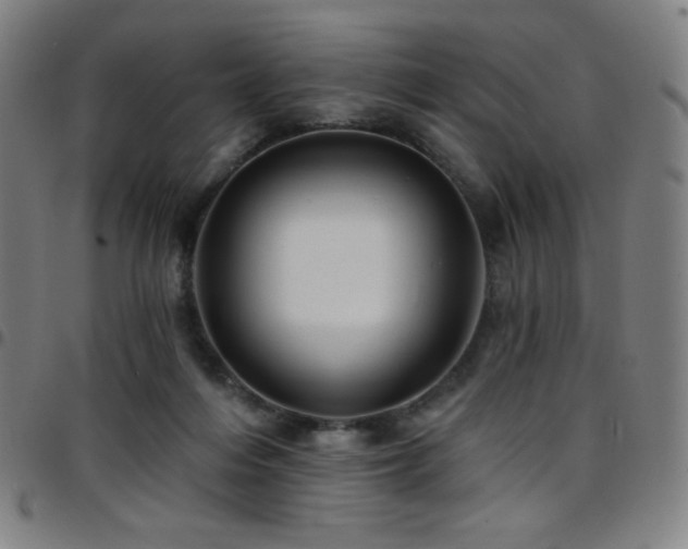 X0000097790216200803071419