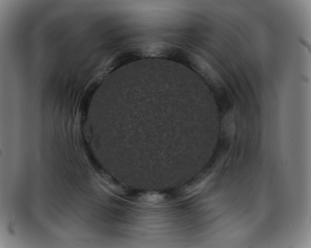 X0000097790217200803071419