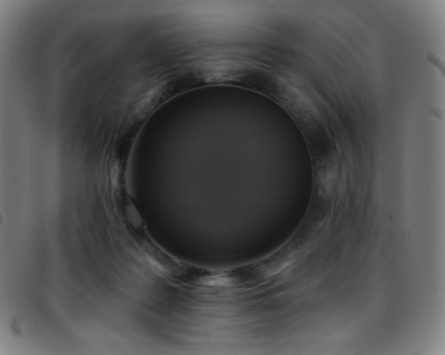 X0000097790219200803071419