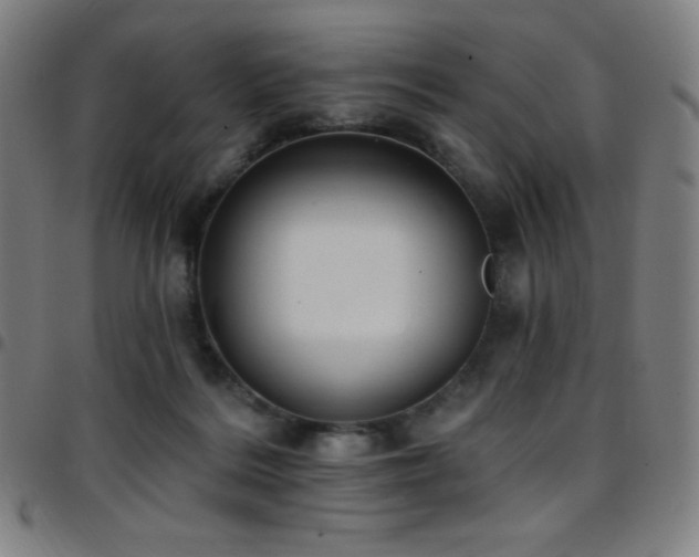 X0000097790220200803071419