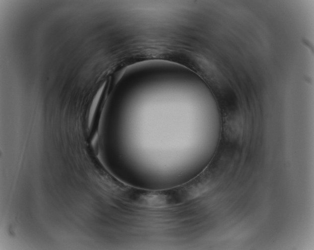 X0000097790221200803071419