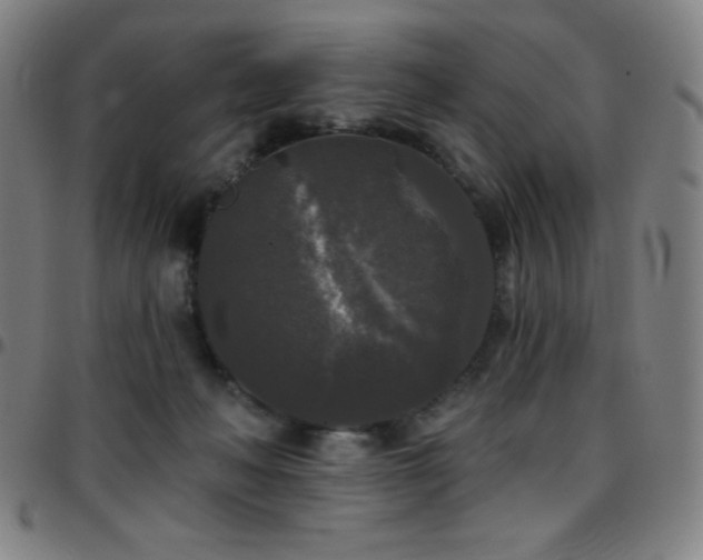 X0000097790222200803071419