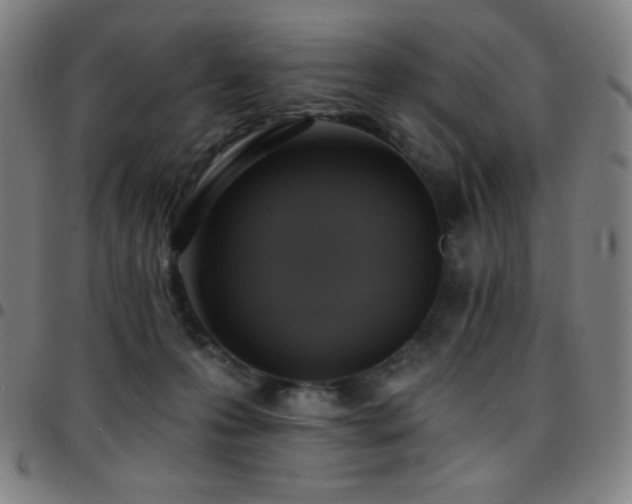 X0000097790223200803071419