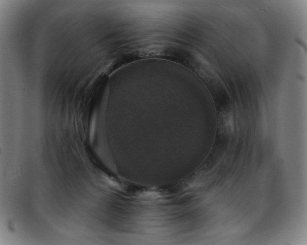 X0000097790224200803071419
