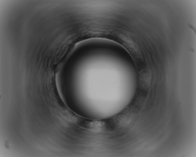 X0000097790225200803071419