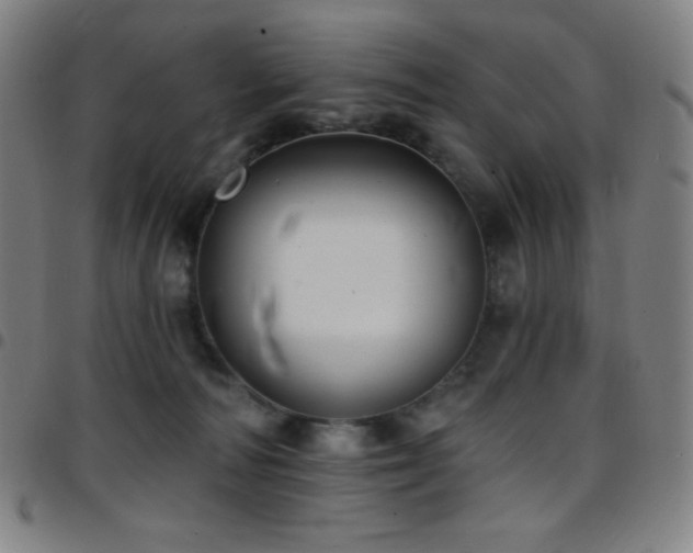 X0000097790226200803071419