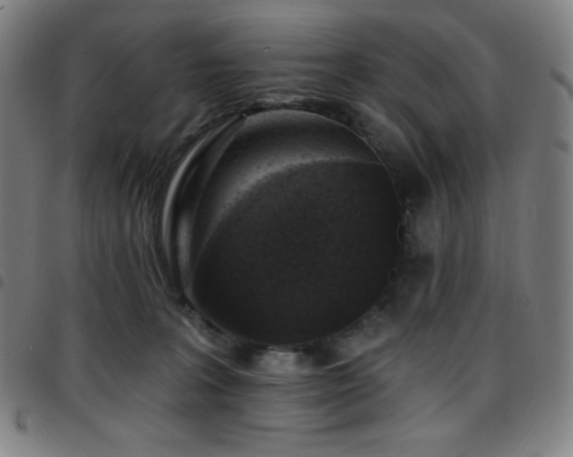 X0000097790227200803071419