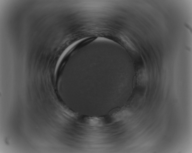 X0000097790229200803071419