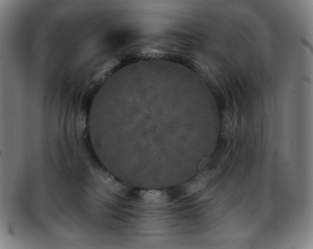 X0000097790230200803071419