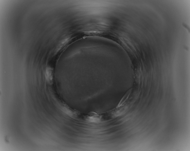 X0000097790232200803071419
