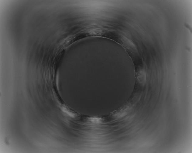 X0000097790233200803071419