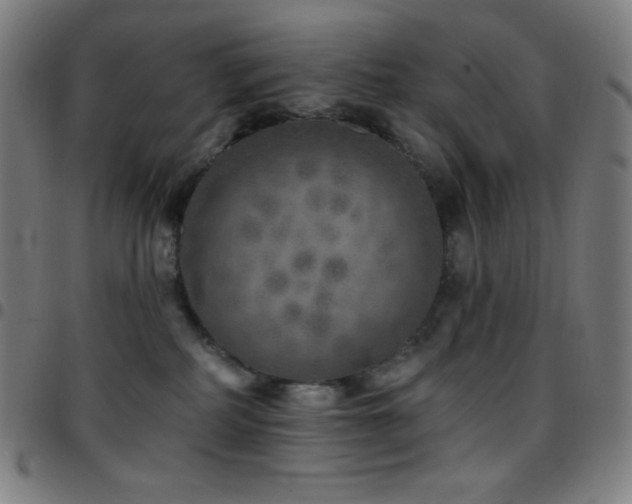 X0000097790234200803071419